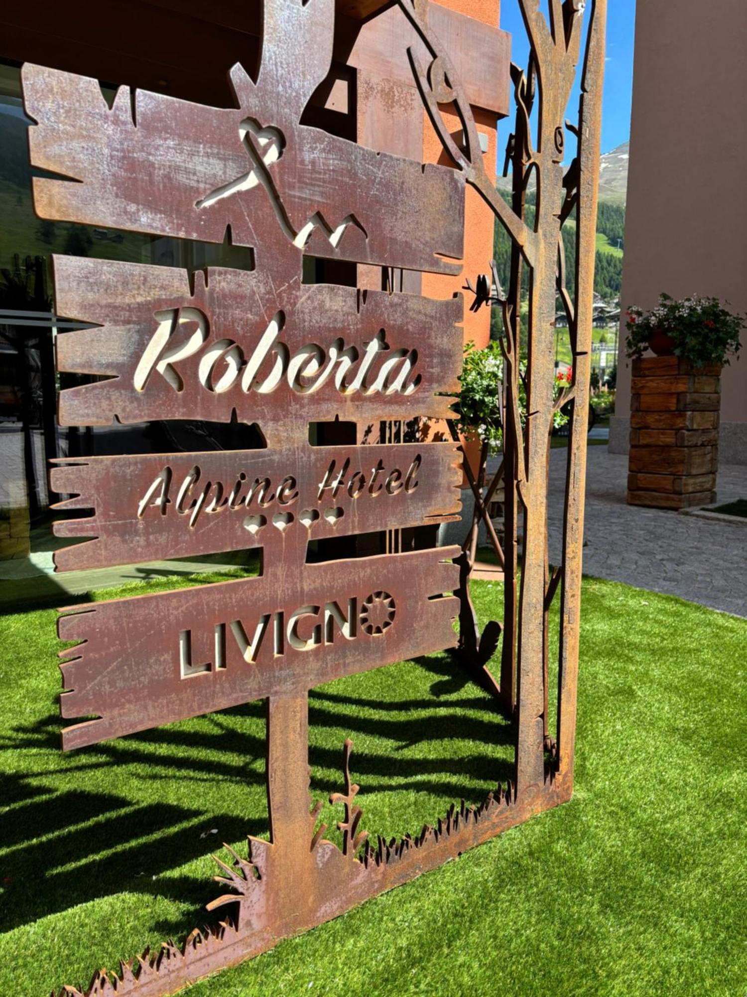 Hotel Roberta Alpine Adults Only ليفينو المظهر الخارجي الصورة